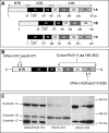Figure 2.