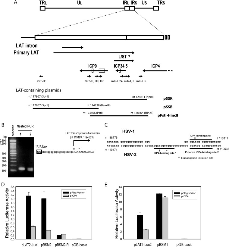 FIG 1