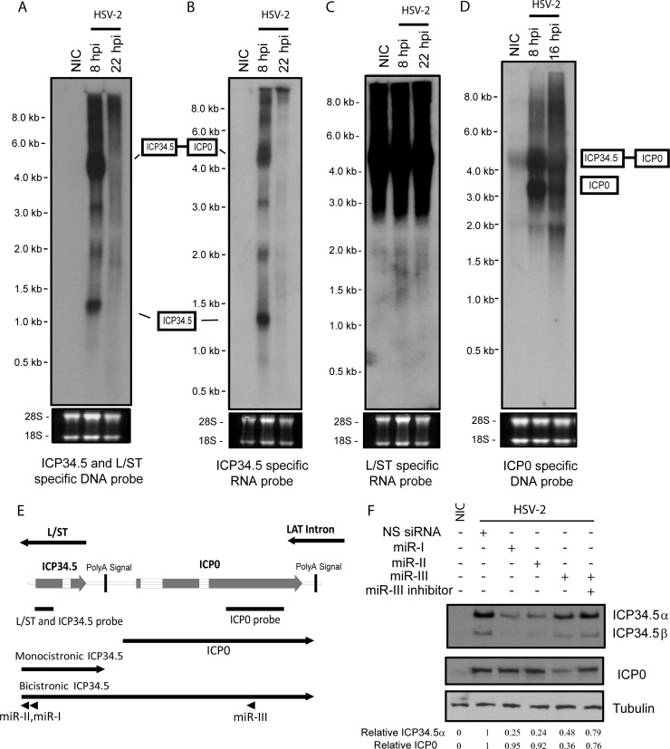 FIG 3