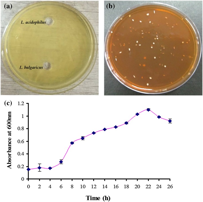 Fig. 2