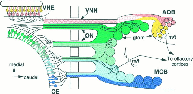 Fig. 1.