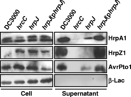 FIG. 5.