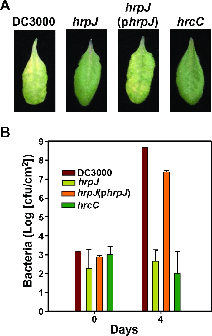 FIG. 2.