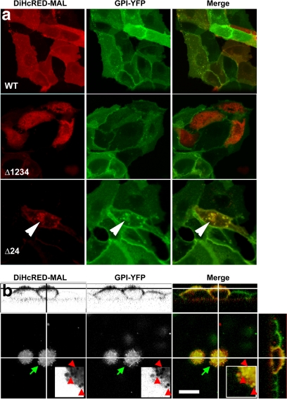 Figure 6.