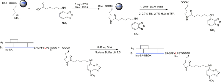 Scheme 3