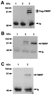 FIG. 5