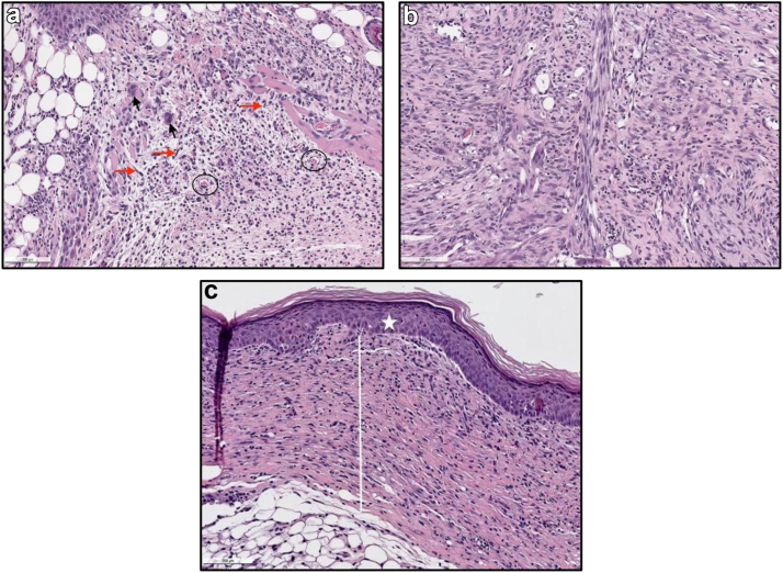 Figure 5