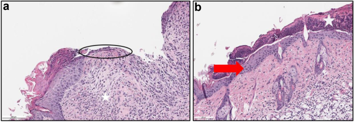 Figure 6