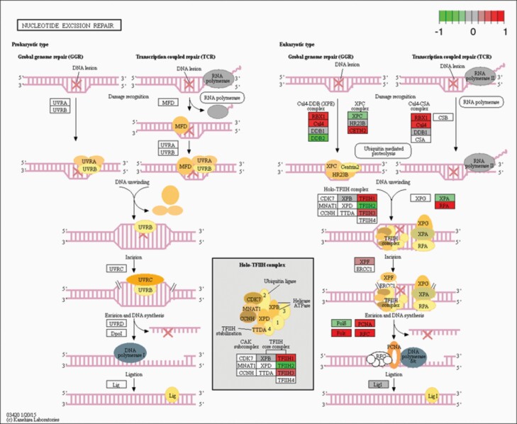 Figure 6.