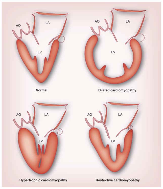 Figure 17