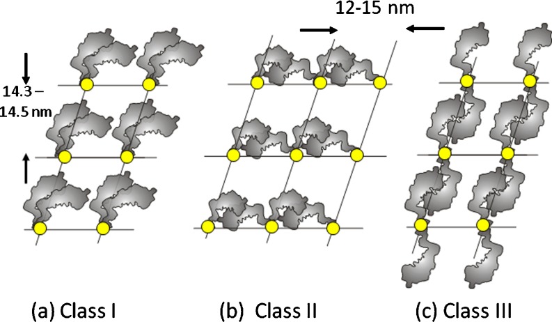 Fig. 6