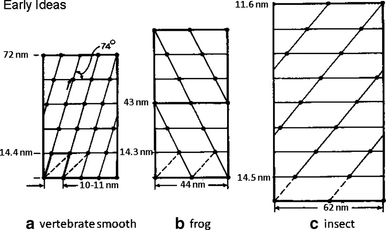 Fig. 4