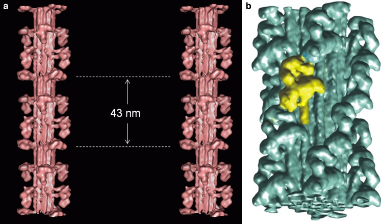 Fig. 7