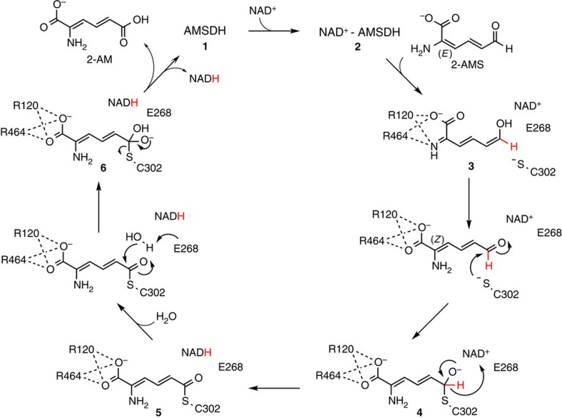 Figure 7