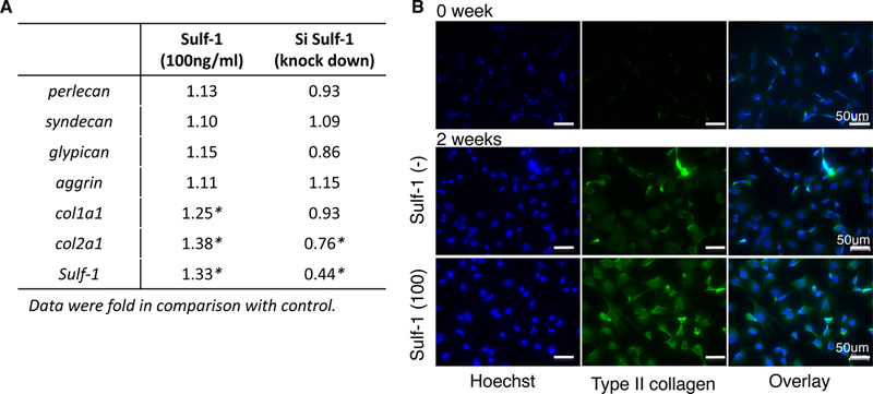 Figure 6: