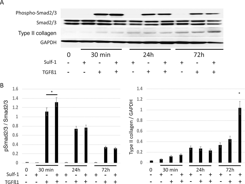 Figure 7: