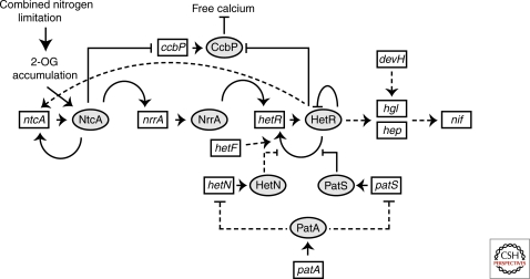 Figure 5.