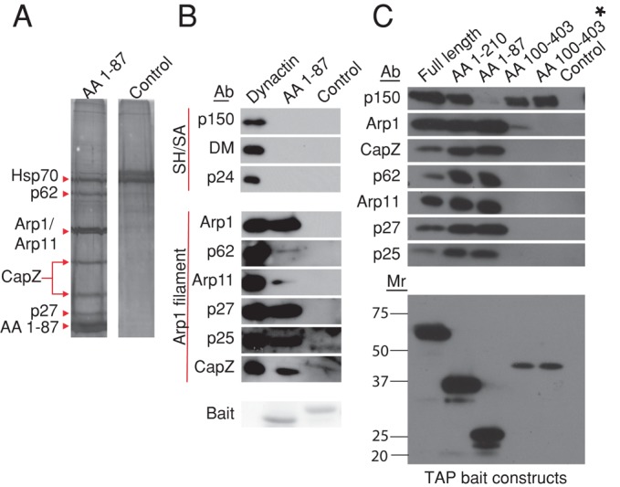 FIGURE 3: