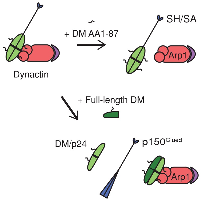 FIGURE 6: