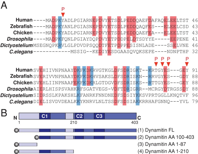 FIGURE 1: