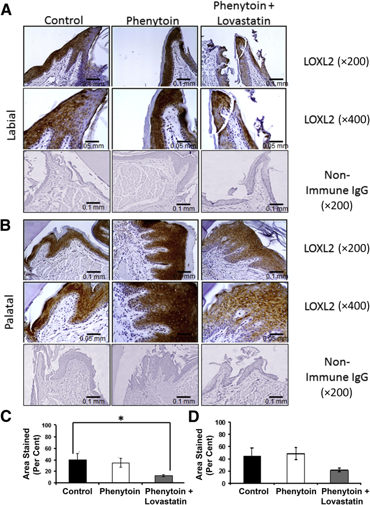 Figure 6