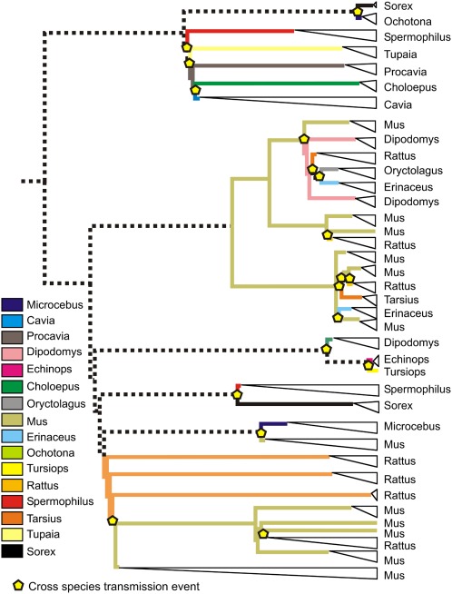 Fig. 3.