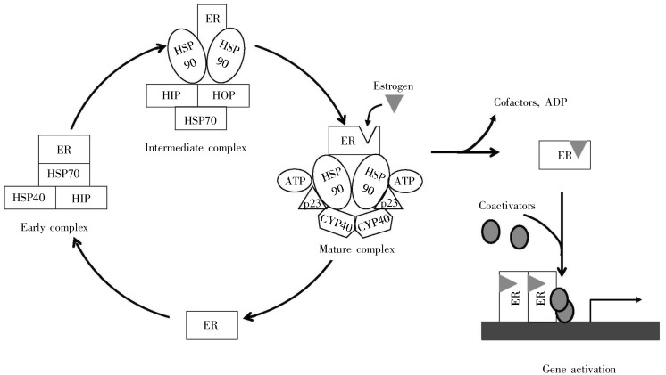 Figure 9.