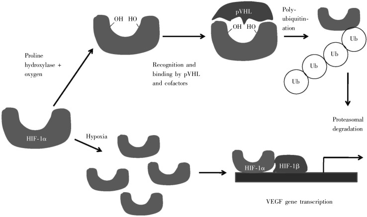 Figure 12.