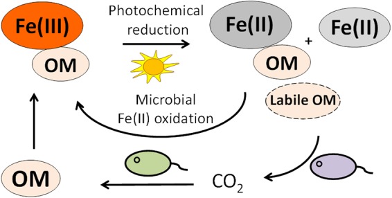 FIG 5