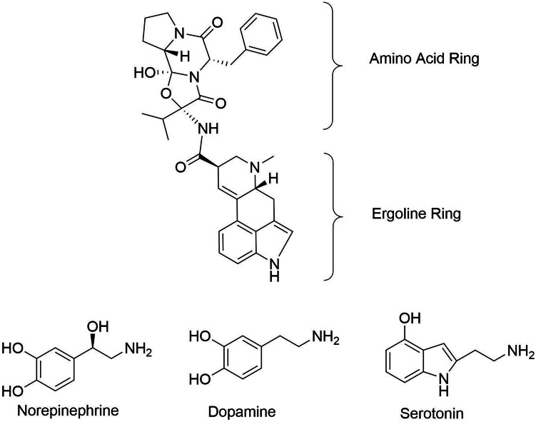 Fig. 3