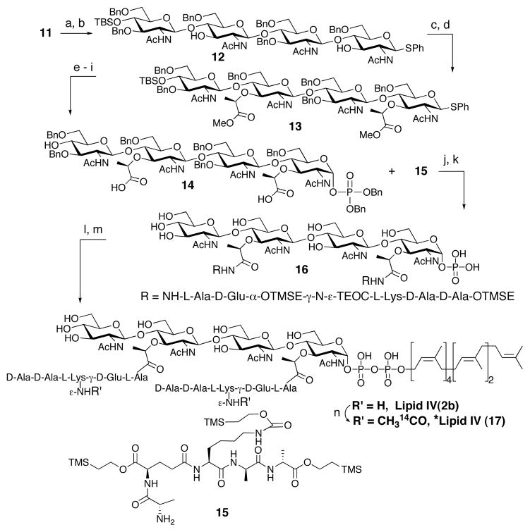 Scheme 2