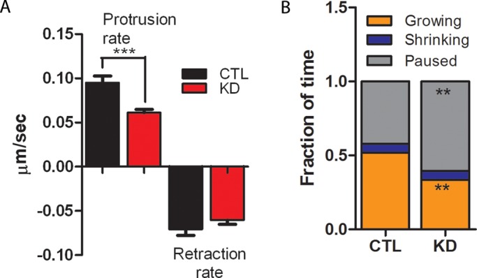 FIGURE 6: