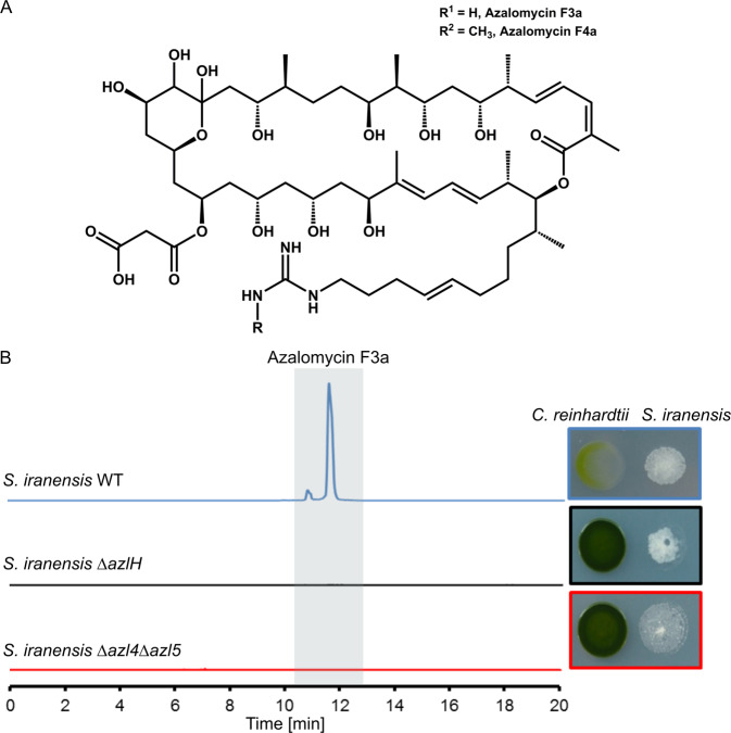 Fig. 2