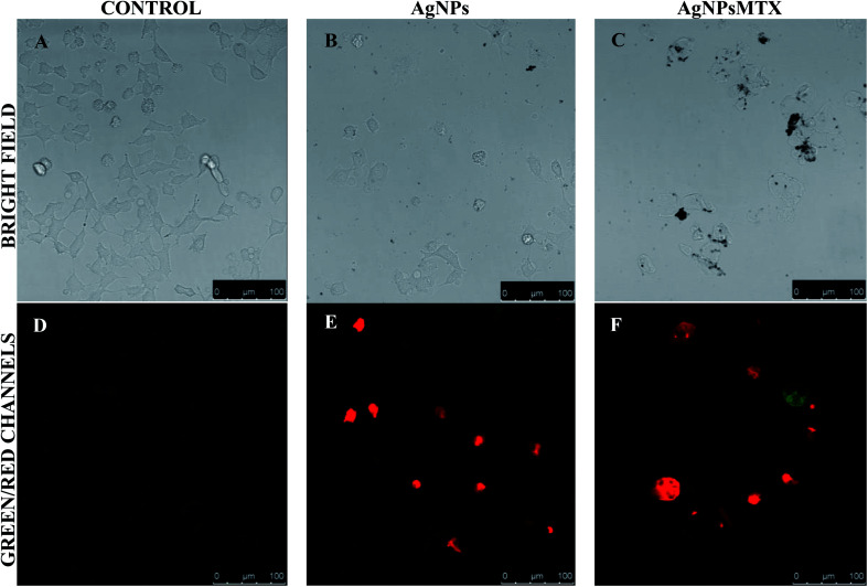 Fig. 13