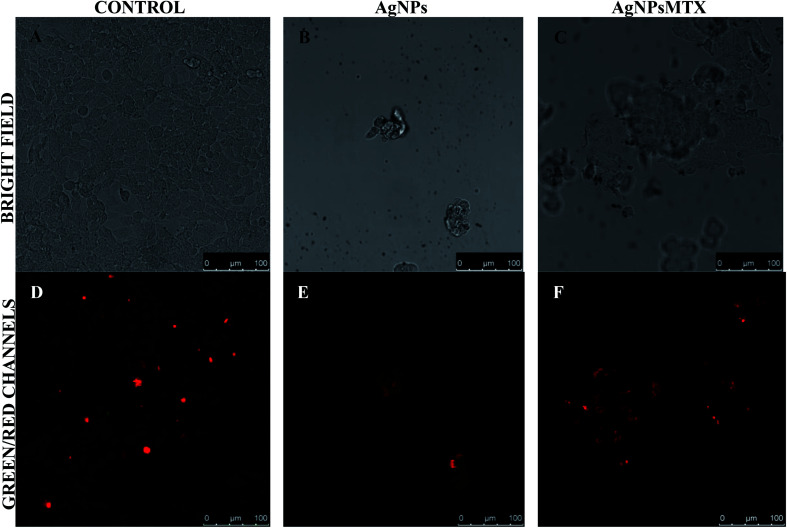 Fig. 12