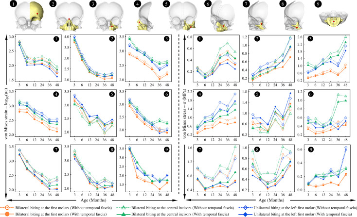 Comparisons of nodal von Mises strain and stress extracted at nine