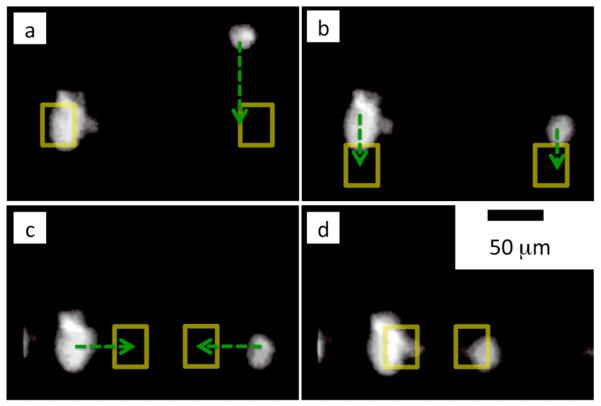 Fig. 3