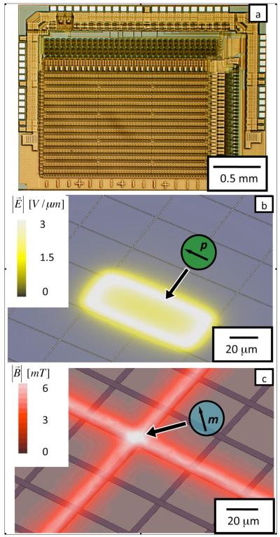 Fig. 1