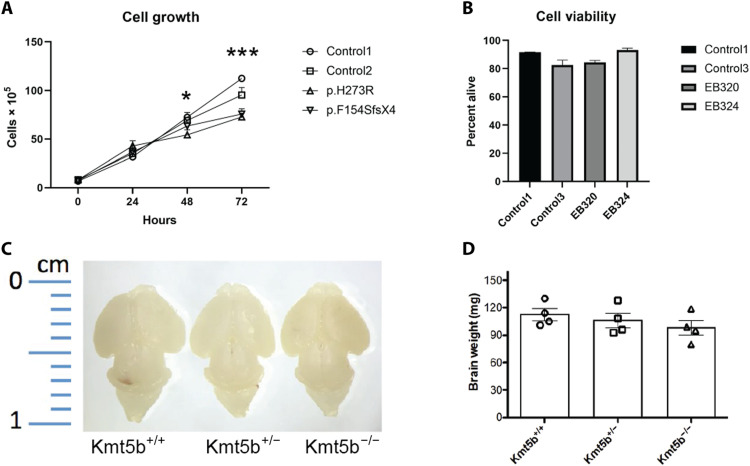 Fig. 7.