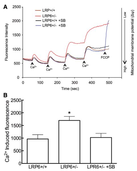 Figure 6