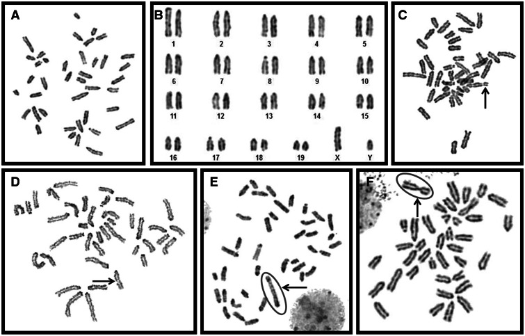 FIG. 6.