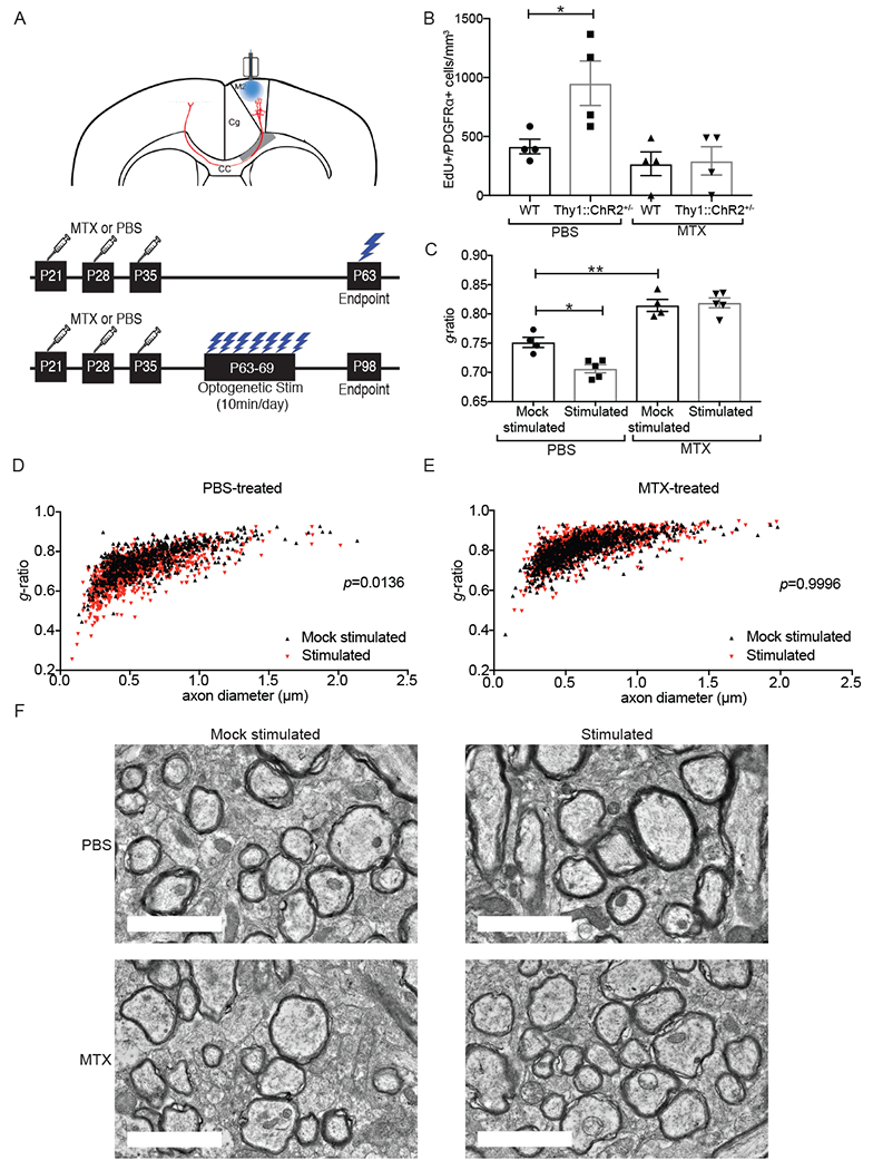 Fig 1.