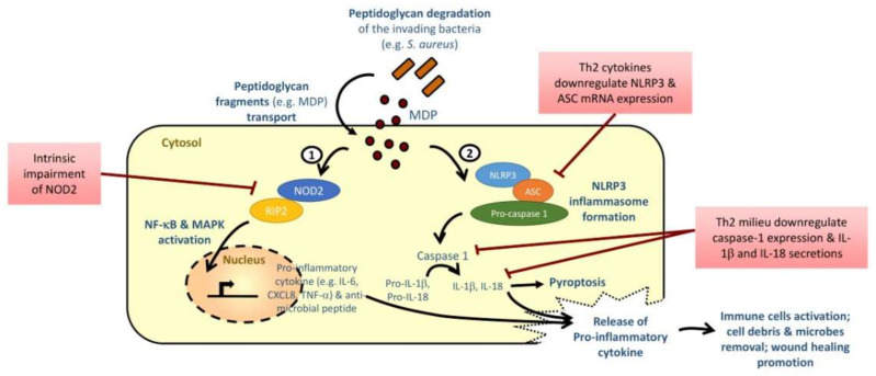 Figure 2