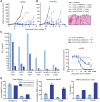 Figure 5. The glucuronide linker confers improved antitumor activity to hL49 over the Val-Cit linker in vivo and in vitro. A and B, Female athymic nude mice were subcutaneously implanted with 2.5×106 A2058 cells (A) or 1.0×106 Colo-853 cells (B). n = 8 mice/group were administered the indicated ADCs (arrows). Data plotted as mean+SEM. C, The indicated cell lines (CD228 receptor numbers in parentheses) were incubated with increasing concentrations of hL49 conjugated to DAR4 dipeptide drug-linker (hL49-vc-MMAE (4)), DAR4 glucuronide drug-linker (hL49-MP-gluc-MMAE (4)), or DAR8 glucuronide drug-linker (hL49-MP-gluc-MMAE (8)). Viability was measured after 96 hours, and EC50 values were obtained using linear regression of the plotted data (example curves shown on the right). D, SK-MEL-5 and A2058 cells were treated with 20 ng/mL ADC (hL49-vc-MMAE (4) or SGN-CD228A) for 24 hours, and released MMAE was quantified using LC/MS-MS in cells and in medium to determine total released MMAE, intracellular MMAE, and total released MMAE retained in the cells. Data plotted as mean ± SD of two biological replicates.