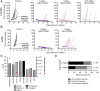 Figure 4. SGN-CD228A has in vivo antitumor activity in CDX mouse models across multiple doses and tumor types. A and B, Female athymic nude mice were subcutaneously implanted with 1.0×106 Colo-853 cells (A) or 2.5×106 A2058 cells (B). When tumors reached ∼100 mm3, n = 8 mice/group were administered single intraperitoneal injection of SGN-CD228A or hIgG1-ADC. C, %TGI by 1 mg/kg SGN-CD228A was calculated for 1–4 studies/CDX model, and CD228 receptor numbers were determined by qFACS. Dashed line represents average %TGI by 1 mg/kg hIgG1-ADC across all CDX studies. D, Treatment response to 1 and 3 mg/kg SGN-CD228A in the same CDX models was categorized based on the following criteria: CR = tumor < starting volume, PR = tumor < starting volume for 1+ days (but not the last day), and PD = tumor volume never regresses on any day. In total, n = 76 and n = 98 mice were included in the low-dose and high-dose group, respectively.