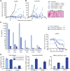 Figure 5. The glucuronide linker confers improved antitumor activity to hL49 over the Val-Cit linker in vivo and in vitro. A and B, Female athymic nude mice were subcutaneously implanted with 2.5×106 A2058 cells (A) or 1.0×106 Colo-853 cells (B). n = 8 mice/group were administered the indicated ADCs (arrows). Data plotted as mean+SEM. C, The indicated cell lines (CD228 receptor numbers in parentheses) were incubated with increasing concentrations of hL49 conjugated to DAR4 dipeptide drug-linker (hL49-vc-MMAE (4)), DAR4 glucuronide drug-linker (hL49-MP-gluc-MMAE (4)), or DAR8 glucuronide drug-linker (hL49-MP-gluc-MMAE (8)). Viability was measured after 96 hours, and EC50 values were obtained using linear regression of the plotted data (example curves shown on the right). D, SK-MEL-5 and A2058 cells were treated with 20 ng/mL ADC (hL49-vc-MMAE (4) or SGN-CD228A) for 24 hours, and released MMAE was quantified using LC/MS-MS in cells and in medium to determine total released MMAE, intracellular MMAE, and total released MMAE retained in the cells. Data plotted as mean ± SD of two biological replicates.