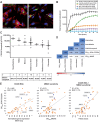 Figure 3. SGN-CD228A is internalized by and has cytotoxic activity against panel of cancer cells with varying CD228 expression. A, A2058 cells were dosed with 2 μg/mL SGN-CD228A, incubated on ice for 30 minutes, and immediately fixed and permeabilized (0-hour time point) or incubated at 37°C for 4 hours. Cells were stained with anti-human antibody (red), LAMP-1 lysosome marker (green), and Hoechst (blue). B, Cells were incubated with hL49 conjugated to 8 copies of AF647 and 2 copies of the TQ5WS quencher, and images were collected. The amount of AF647 liberated from the antibody and quencher was quantified (total pixel intensity) and normalized to the number of cells/timepoint (Hoechst+). Values plotted represent average of 2 independent experiments using triplicates/condition. Error bars = SD. C, CD228 expression in cancer cell line panel. Dashed line indicates 15,000 copies. D, Pairwise correlation r values between CD228 expression and internalization and GR inhibition by SGN-CD228A and MMAE (GRAOC) in the cells in (C). E, Scatter plots showing the relationship between SGN-CD228A efficacy (GRAOC) and CD228 RNA expression (left), MMAE sensitivity (middle), or a linear model combining both variables (right). Coefficient of determination (R2), mean absolute error (MAE), and linear regression line are depicted. Examples of cell lines for which the model showed improvement are indicated.