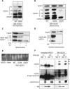 Figure 2.