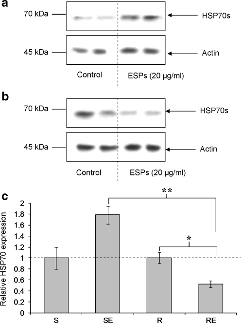 Fig. 6