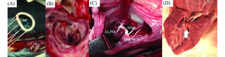 Figure 5.